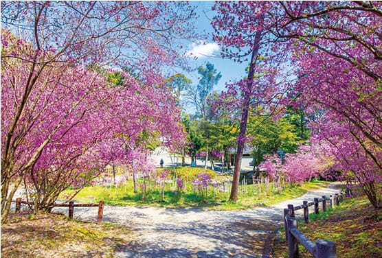 広田山公園